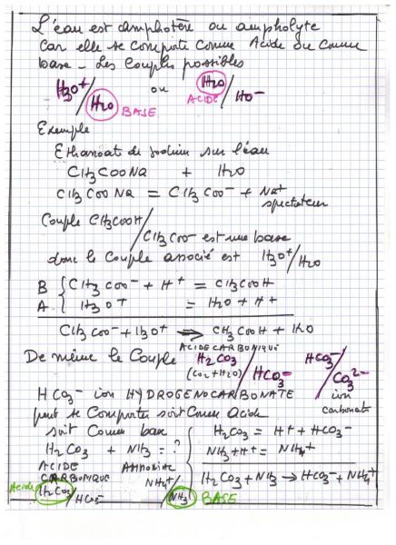 AMPHOLYTE_001