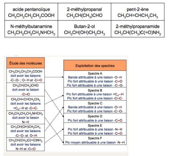 MOLECULES_RMN